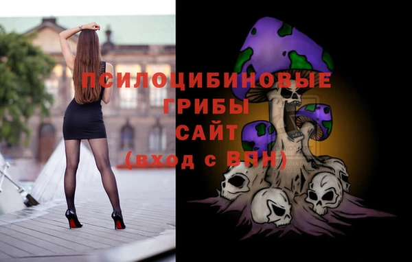 СК Балахна