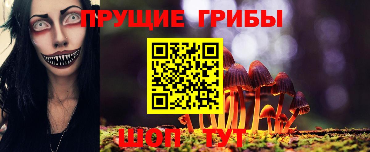 Кировск  Псилоцибиновые грибы прущие грибы  хочу наркоту  Вход с VPN  Псилоцибиновые грибы ЛСД 